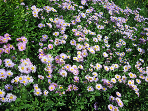 1076150 (a): :2560x1920